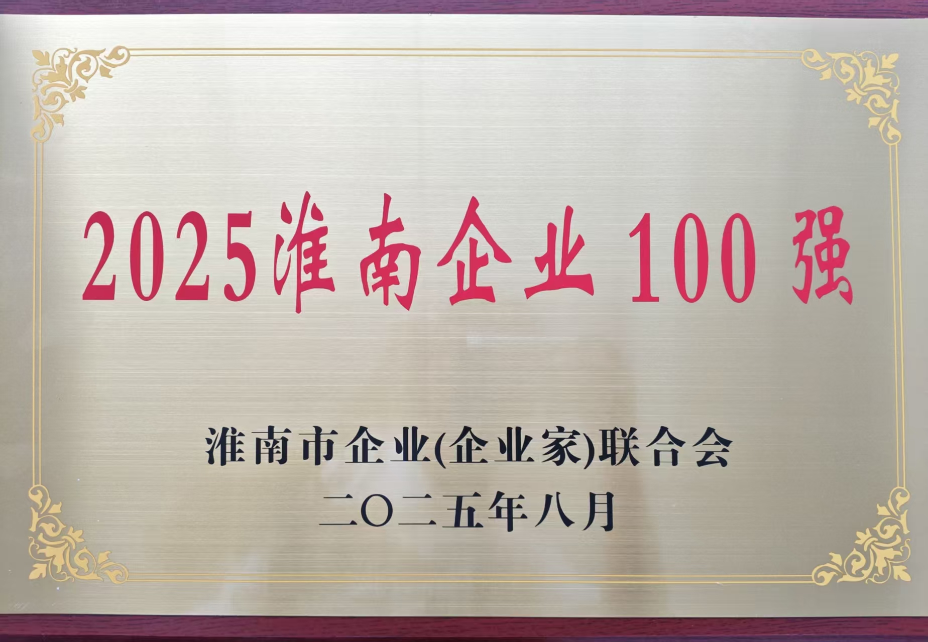 2025淮南市100強企業(yè)